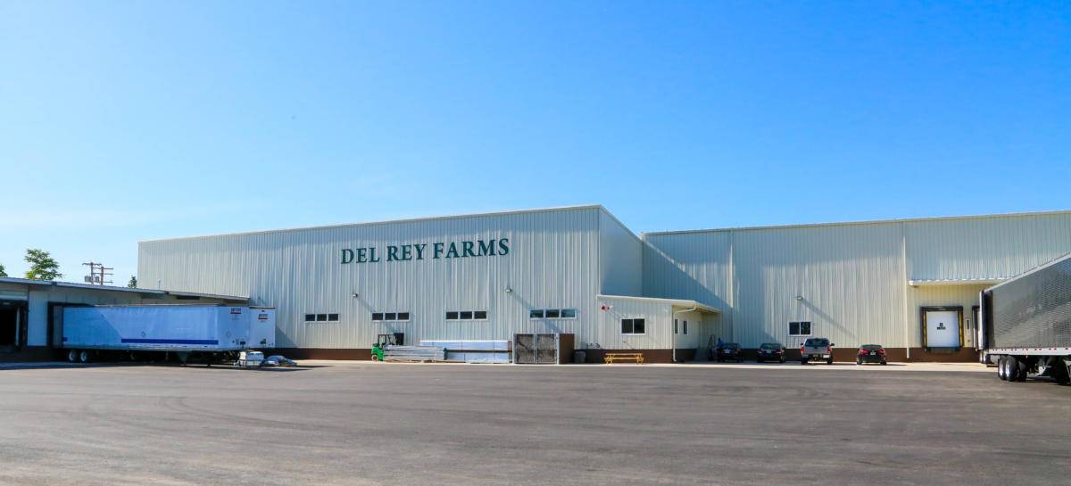 Del Rey Avocado New Jersey Plant, A HUGE Success